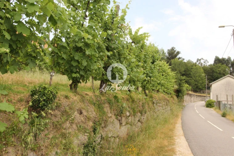 Terreno para Venda em Moreira do Rei e Várzea Cova Foto 12