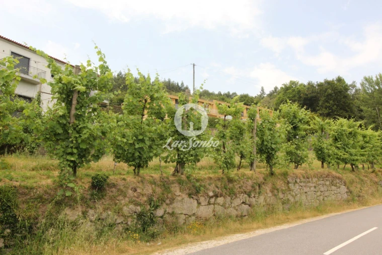 Terreno para Venda em Moreira do Rei e Várzea Cova Foto 13