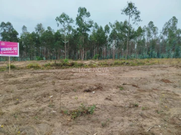 Terreno Agricola ou Rústico para Venda em Macinhata do Vouga
