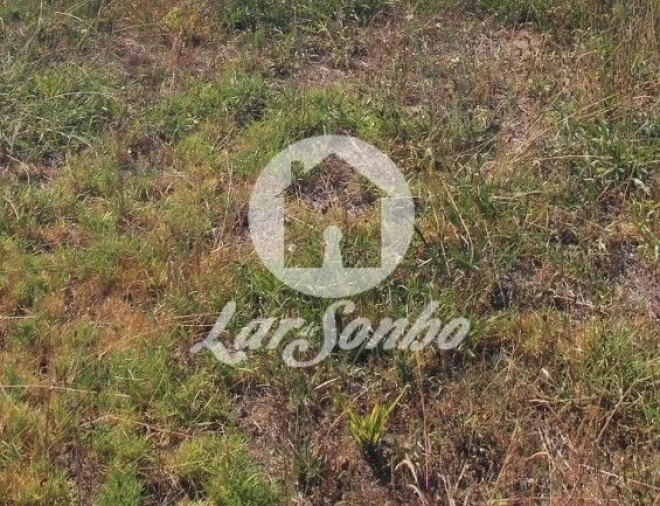 Terreno para Venda em Carreira e Fonte Coberta Foto 8