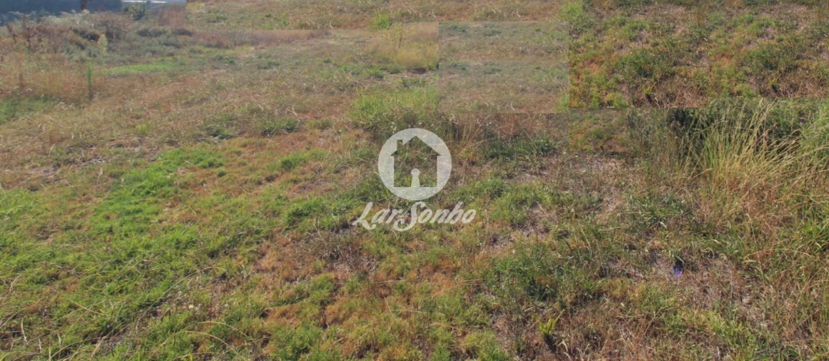 Terreno para Venda em Carreira e Fonte Coberta Foto 24