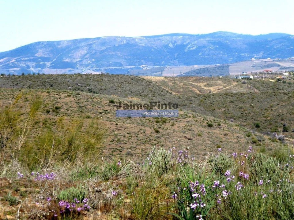 Terreno Agricola ou Rústico para Venda em Vila Nova de Foz Côa Foto 3