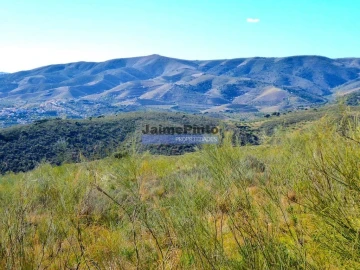 Terreno Agricola ou Rústico para Venda em Vila Nova de Foz Côa