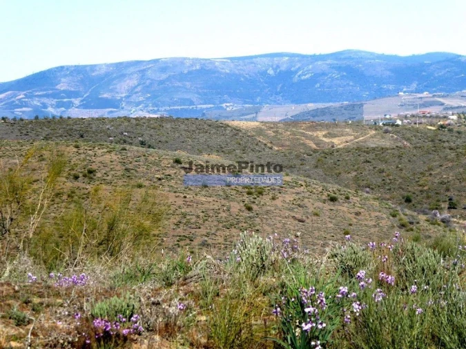 Terreno Agricola ou Rústico para Venda em Vila Nova de Foz Côa Foto 3