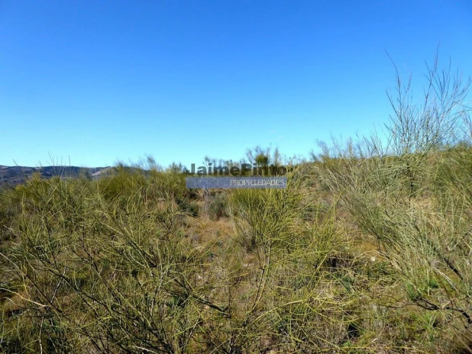 Terreno Agricola ou Rústico para Venda em Vila Nova de Foz Côa Foto 7