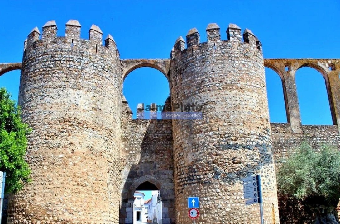 Terreno Agricola ou Rústico para Venda em Beja (Salvador e Santa Maria da Feira) Foto 3
