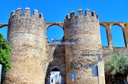 Terreno Agricola ou Rústico para Venda em Beja (Salvador e Santa Maria da Feira)