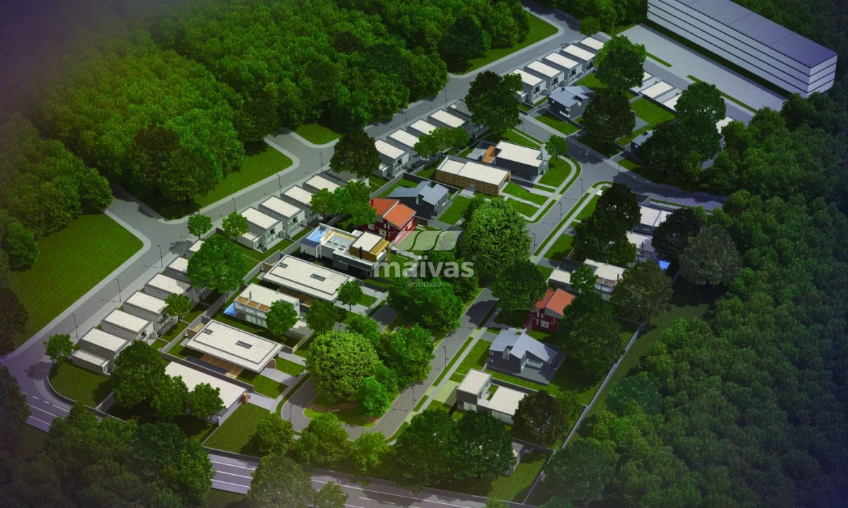 Terreno para Venda em Palmeira Foto 2