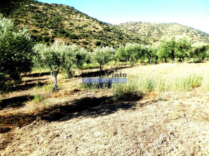 Terreno Agricola ou Rústico para Venda em Escalhão Foto 7