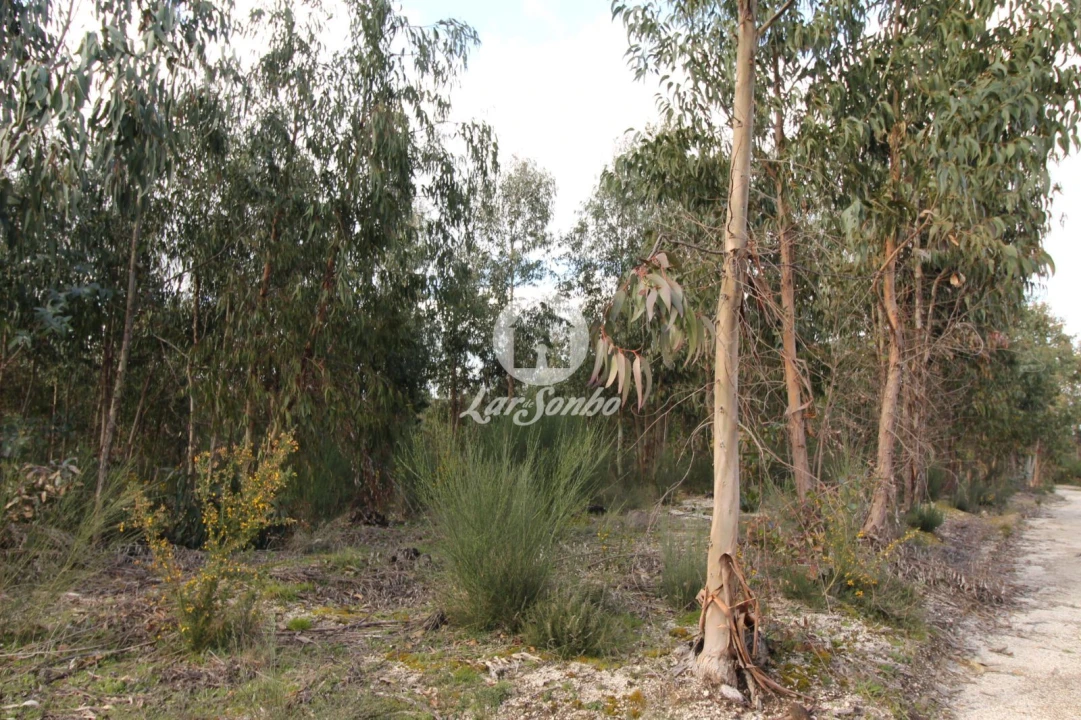 Terreno Agricola ou Rústico para Venda em Vale de Bouro Foto 20
