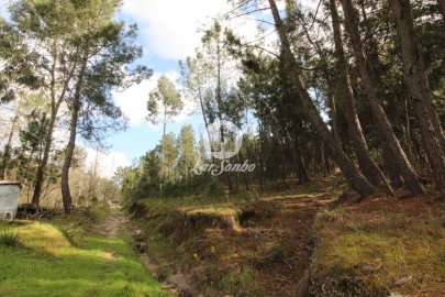 Terreno Agricola ou Rústico para Venda em Vale de Bouro