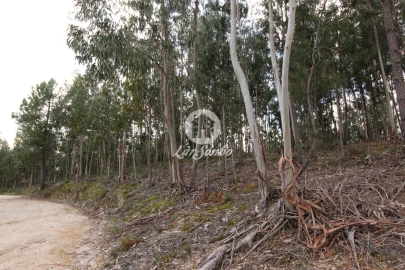 Terreno Agricola ou Rústico para Venda em Vale de Bouro