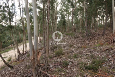 Terreno Agricola ou Rústico para Venda em Vale de Bouro