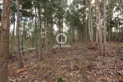Terreno Agricola ou Rústico para Venda em Vale de Bouro