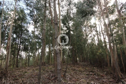 Terreno Agricola ou Rústico para Venda em Vale de Bouro