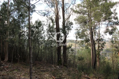 Terreno Agricola ou Rústico para Venda em Vale de Bouro