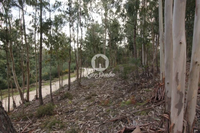 Terreno Agricola ou Rústico para Venda em Vale de Bouro