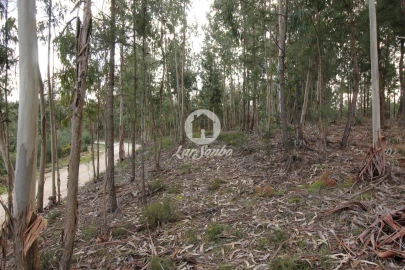 Terreno Agricola ou Rústico para Venda em Vale de Bouro