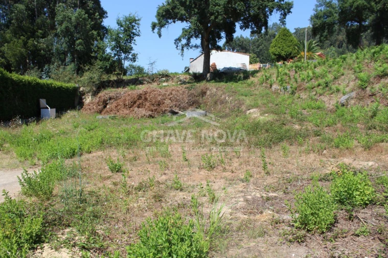 Terreno para Venda em Canelas Foto 2