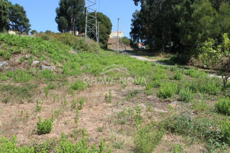 Terreno para Venda em Canelas Foto 7