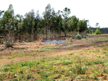 Terreno Agricola ou Rústico para Venda em Albergaria-A-Velha e Valmaior