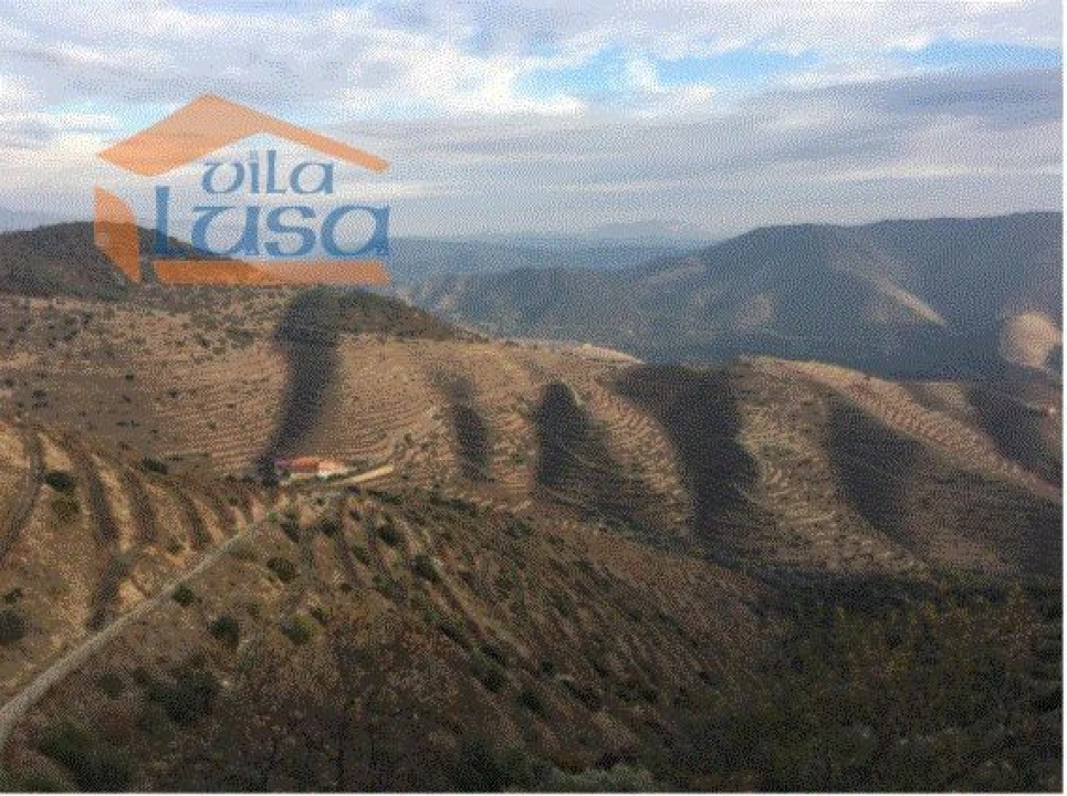 Quinta T4 para Venda em Torre de Moncorvo Foto 2