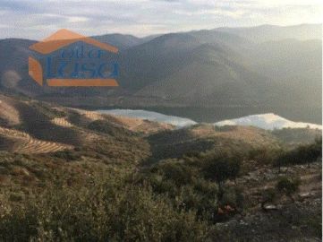 Quinta T4 para Venda em Torre de Moncorvo