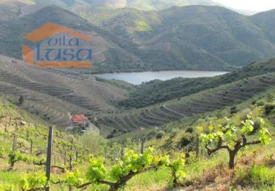 Quinta T4 para Venda em Torre de Moncorvo