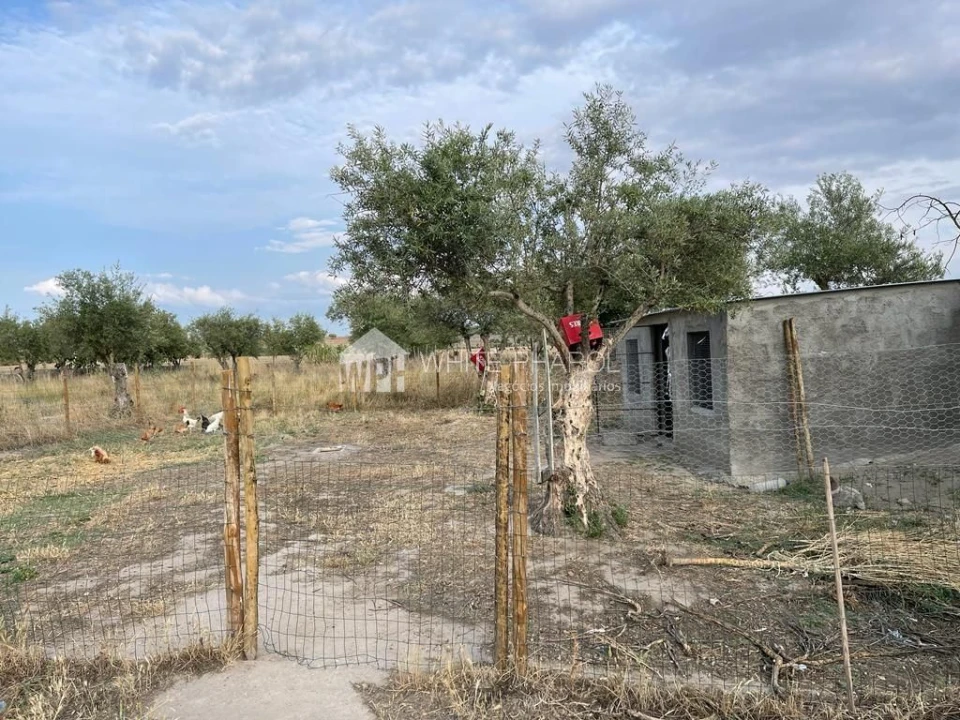 Terreno Agricola ou Rústico para Venda em Santa Eulalia Foto 7