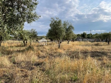 Terreno Agricola ou Rústico para Venda em Santa Eulalia