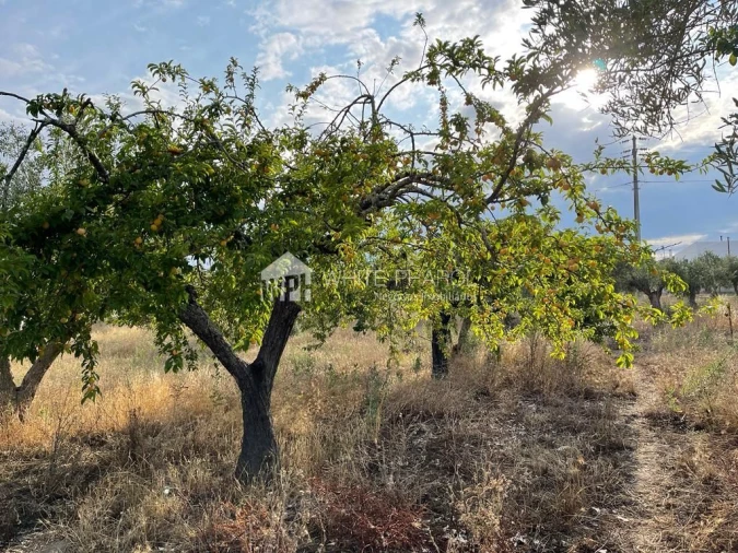 Terreno Agricola ou Rústico para Venda em Santa Eulalia Foto 3