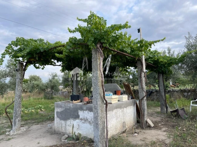 Terreno Agricola ou Rústico para Venda em Santa Eulalia Foto 6