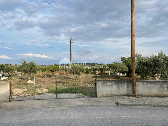 Terreno Agricola ou Rústico para Venda em Santa Eulalia Foto 10