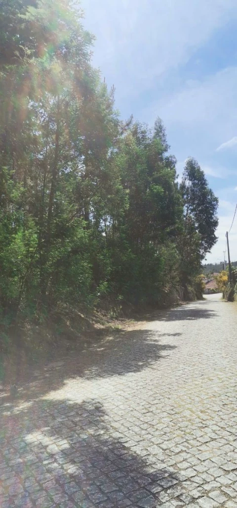 Terreno para Venda em Silvares, Pias, Nogueira e Alvarenga