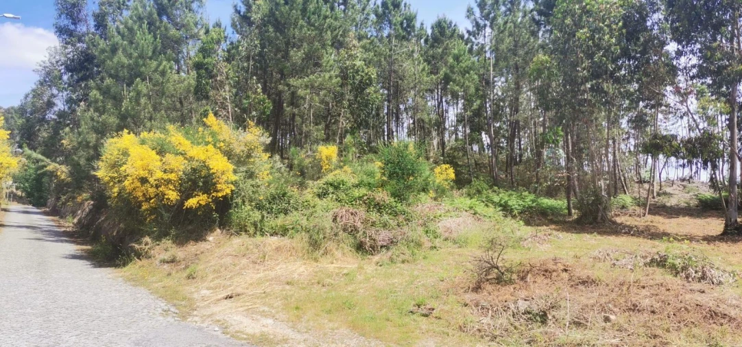 Terreno para Venda em Silvares, Pias, Nogueira e Alvarenga Foto 2