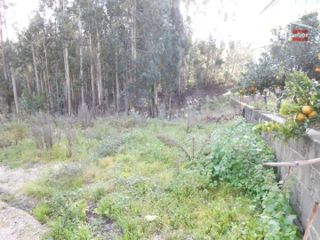 Terreno Agricola ou Rústico para Venda em São Mamede