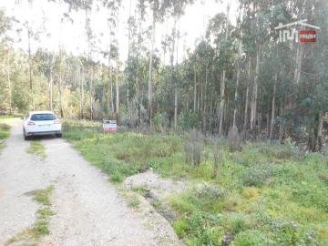 Terreno Agricola ou Rústico para Venda em São Mamede