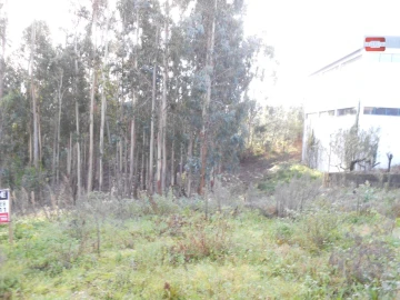 Terreno Agricola ou Rústico para Venda em São Mamede