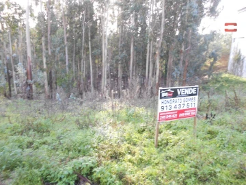 Terreno Agricola ou Rústico para Venda em São Mamede