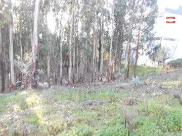 Terreno Agricola ou Rústico para Venda em São Mamede