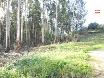 Terreno Agricola ou Rústico para Venda em São Mamede