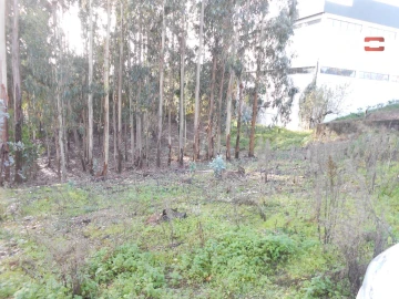 Terreno Agricola ou Rústico para Venda em São Mamede