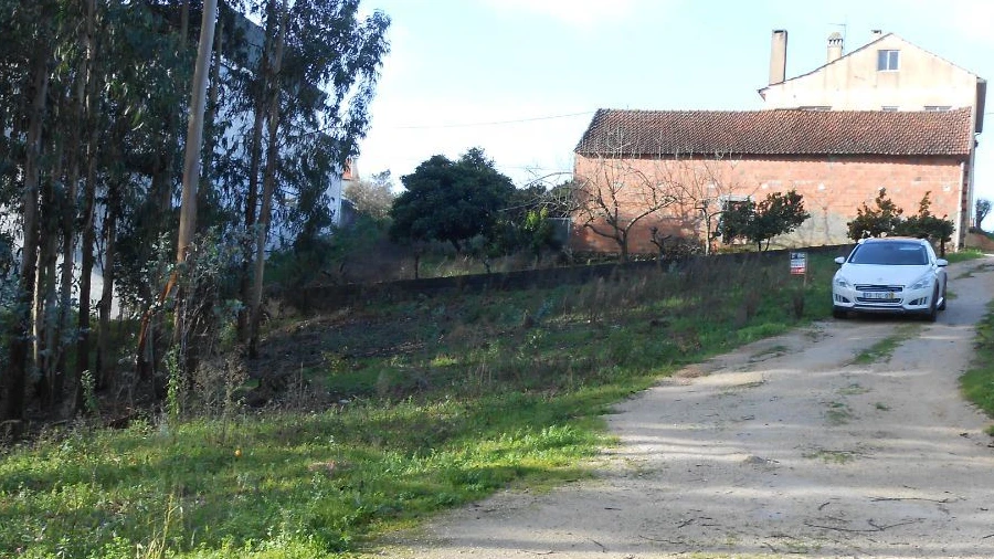 Terreno Agricola ou Rústico para Venda em São Mamede
