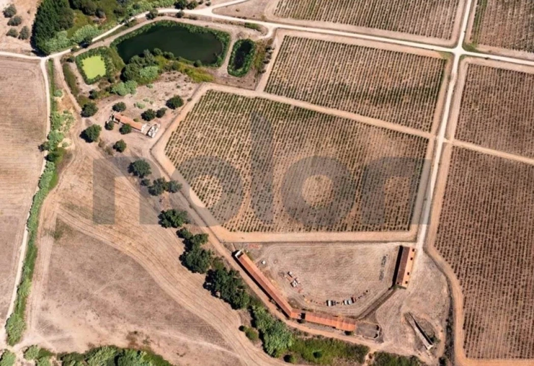 Quinta para Venda em Cabeção Foto 7