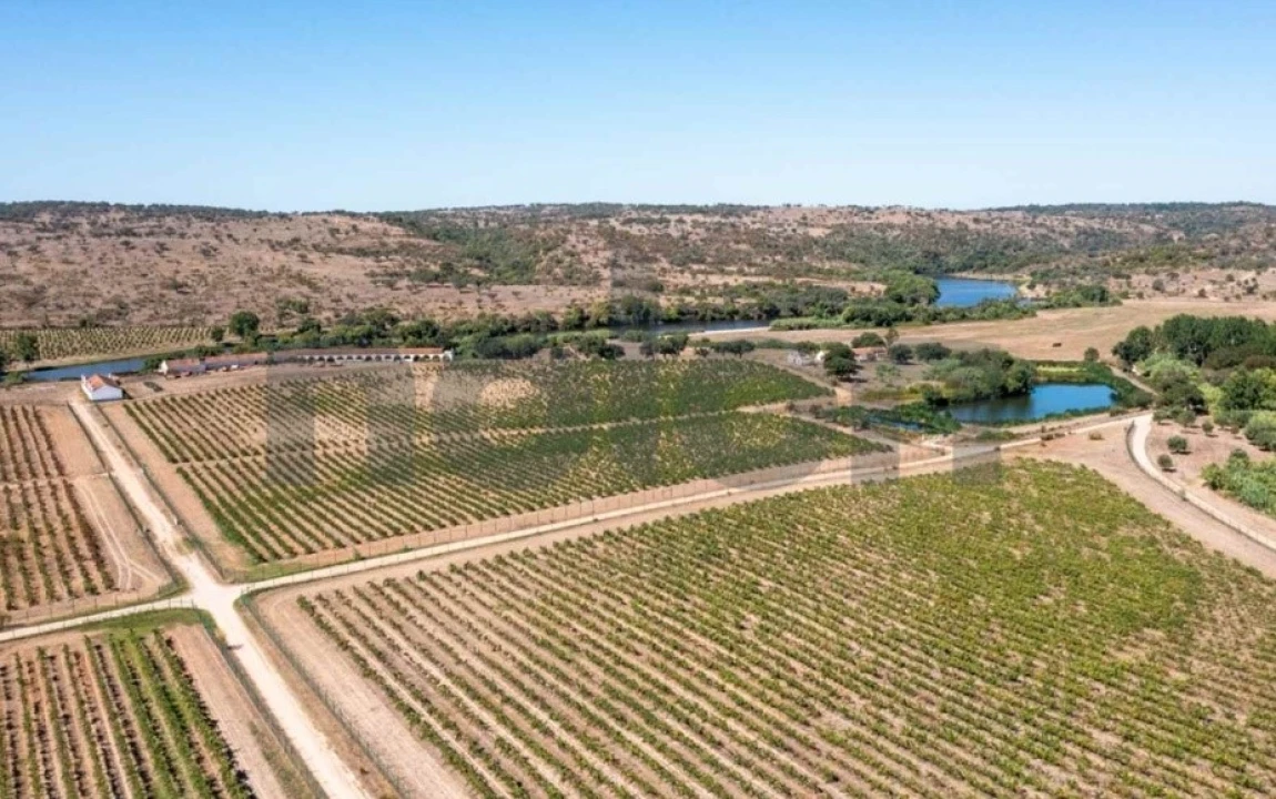 Quinta para Venda em Cabeção Foto 11
