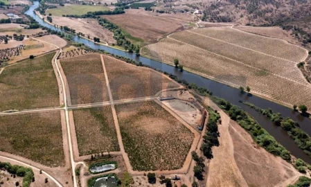 Quinta para Venda em Cabeção