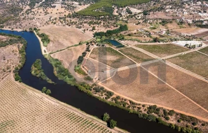 Quinta para Venda em Cabeção