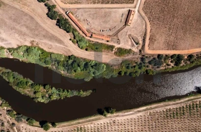 Quinta para Venda em Cabeção