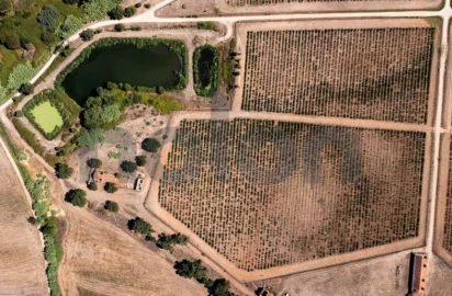 Quinta para Venda em Cabeção