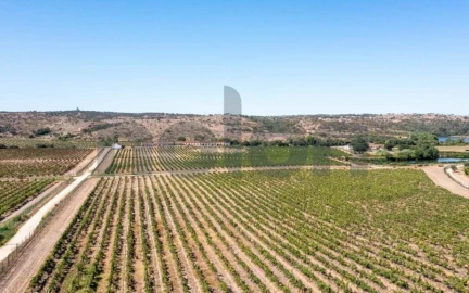 Quinta para Venda em Cabeção
